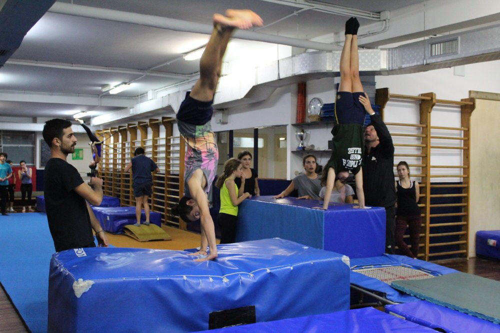 Acrobatica