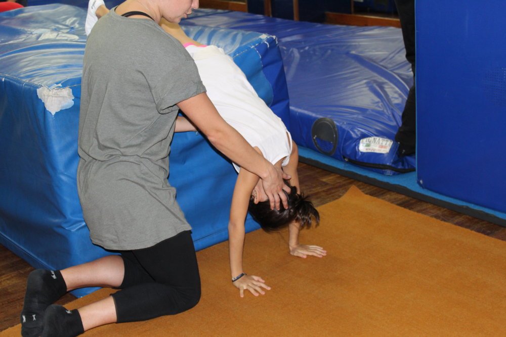 Ginnastica Artistica