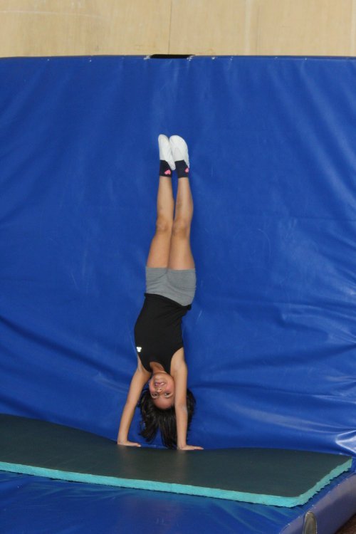 Ginnastica Artistica